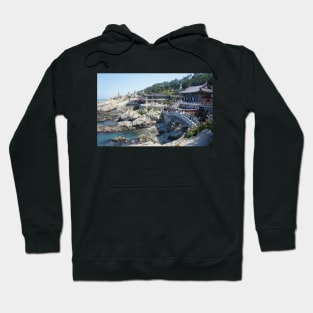 korea Busan Haedong Yonggungsa Temple Hoodie